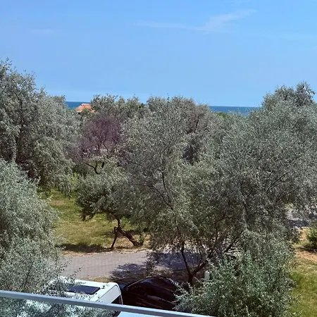 Roapart Sunrise Cu 1 Si 2 Cu La Mare Parcare 2 Min De Plaja Apartman